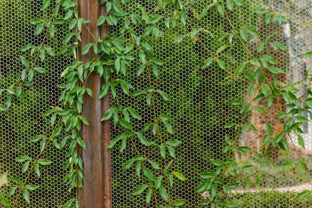 Reliable landscape installation for outdoor upgrades in Austin, TX by Eden Garden Design