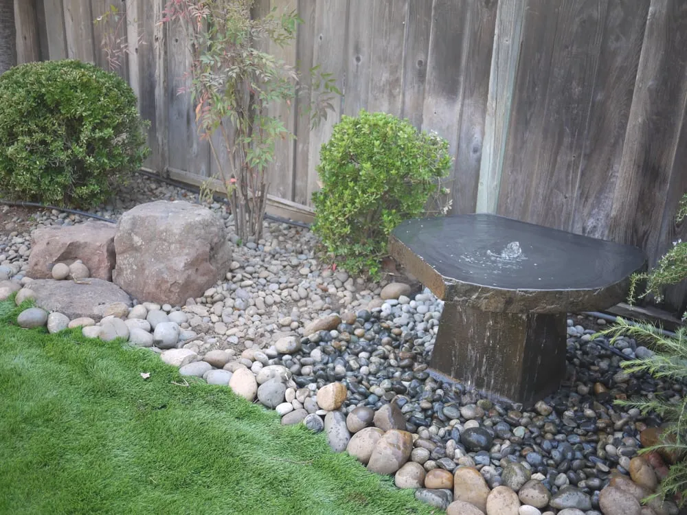 Professional yard cleanup service in South San Francisco, CA by Eden Garden Design Group