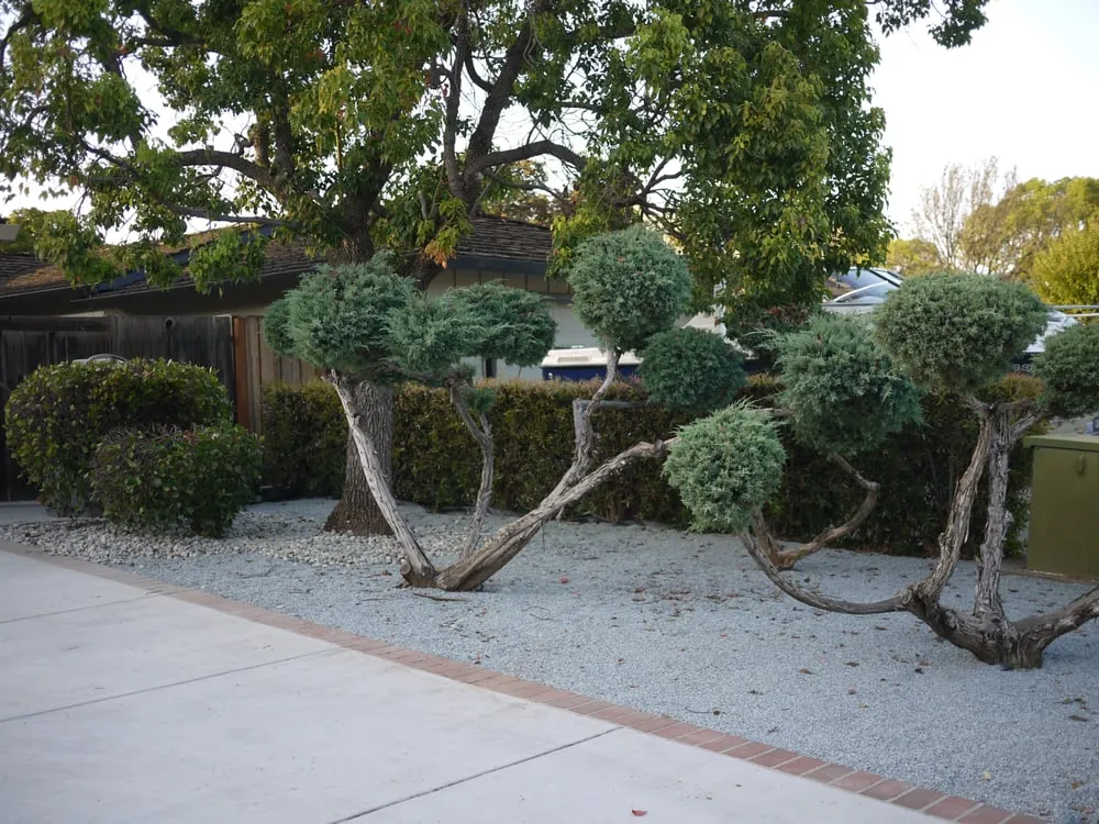 Local garden landscaping near you across South San Francisco, CA - Eden Garden Design Group