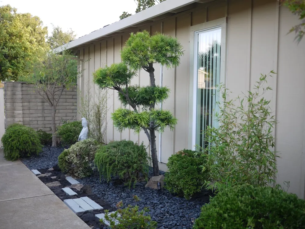 Local yard cleanup service experts serving South San Francisco, CA - Eden Garden Design Group