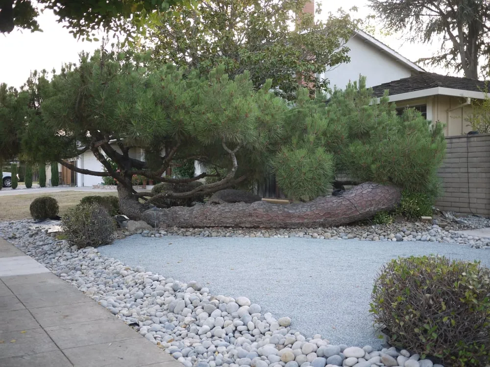 Custom landscaping services experts serving South San Francisco, CA - Eden Garden Design Group