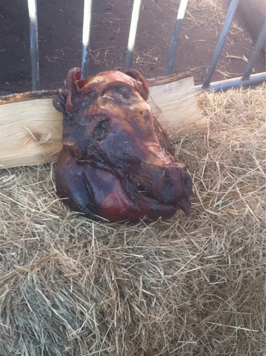 Reliable outdoor landscaping in Pensacola, FL by Eden Garden Restoration