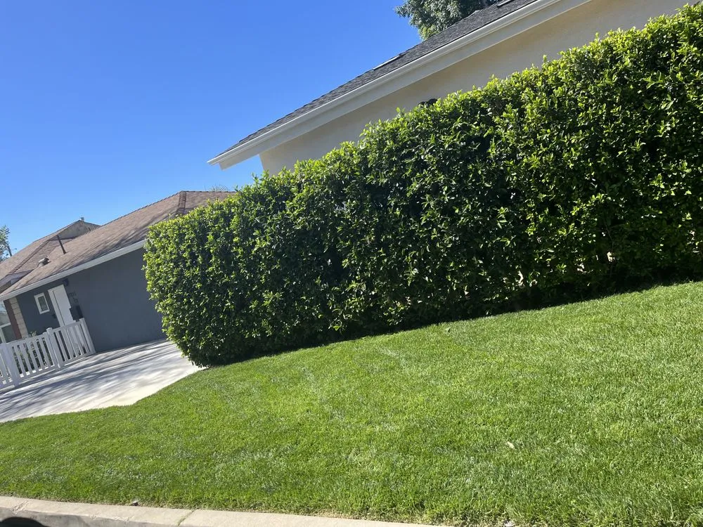 Top-rated residential landscaping in Los Angeles, CA - Eden gardener