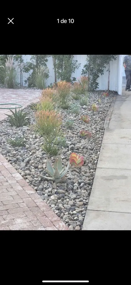 Reliable outdoor landscaping for beautiful yards in Los Angeles, CA by Eden gardener