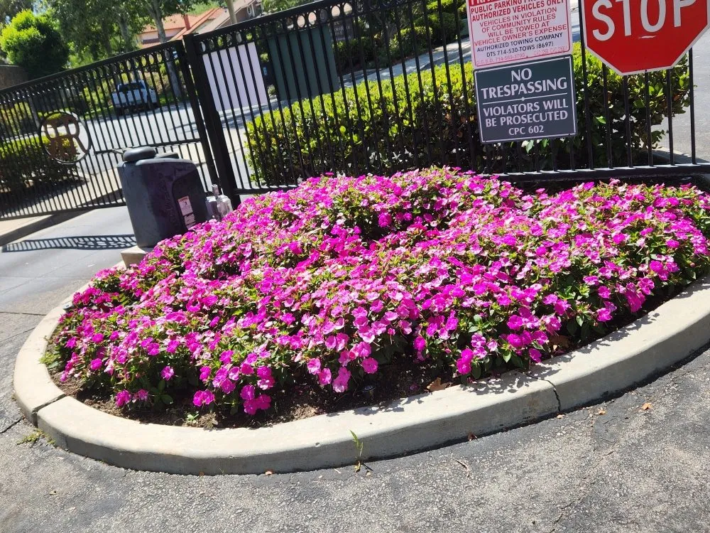 Trusted outdoor landscaping experts serving Orange, CA - Eden Gardening