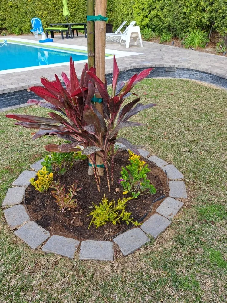 Local landscaping services experts serving Orange, CA - Eden Gardening