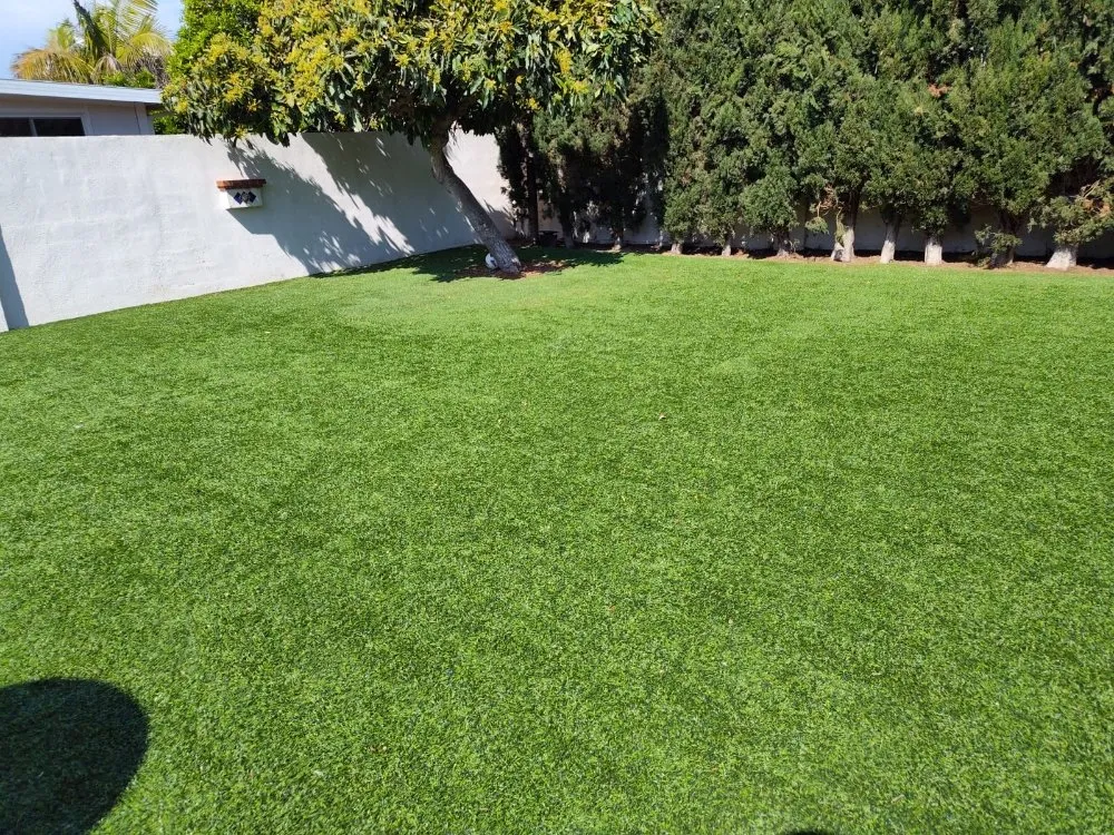Affordable yard maintenance for outdoor upgrades in Orange, CA by Eden Gardening