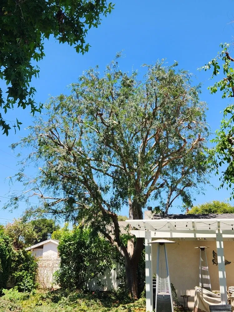 Trusted landscape design with custom design in Orange, CA by Eden Gardening