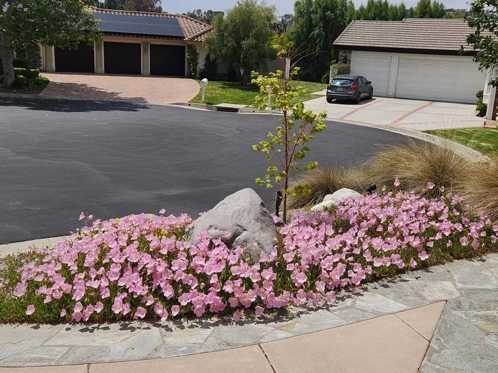 Professional landscape design with custom design in Orange, CA by Eden Gardening