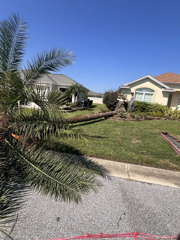 Custom yard cleanup service experts serving Wildwood, FL - Eden Gardens Landscaping