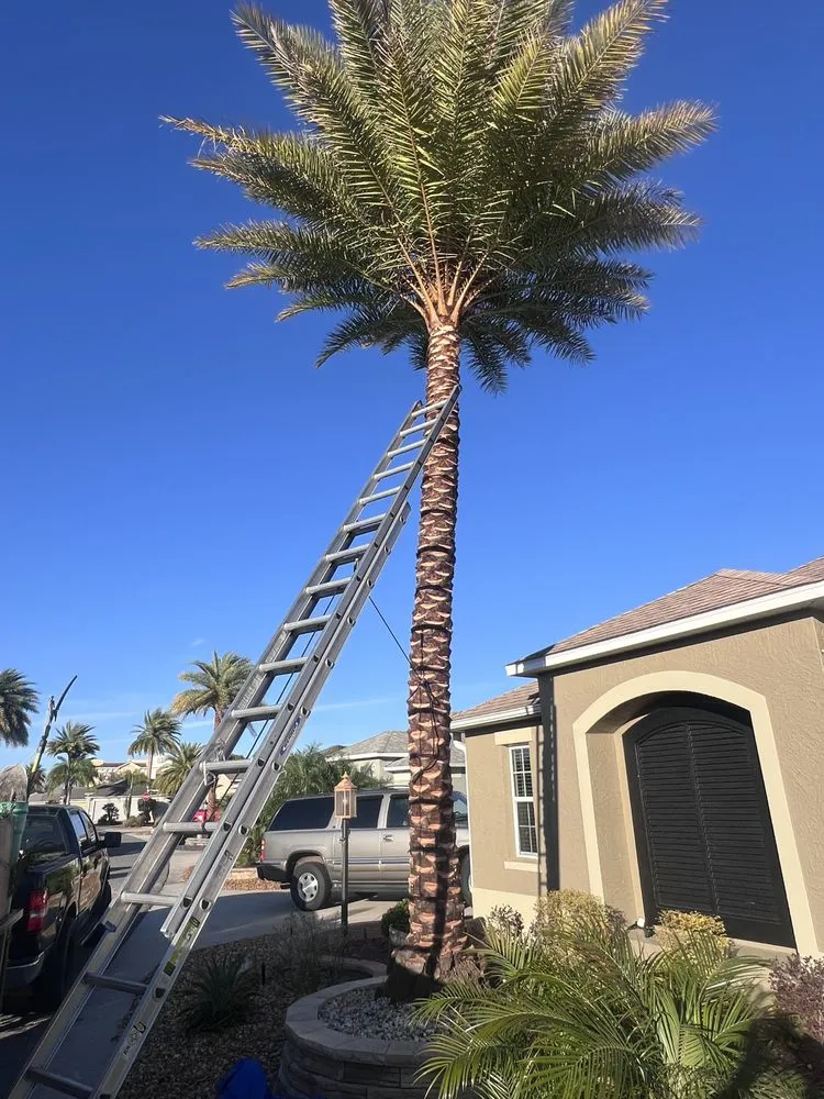 Affordable residential landscaping for outdoor upgrades in Wildwood, FL by Eden Gardens Landscaping