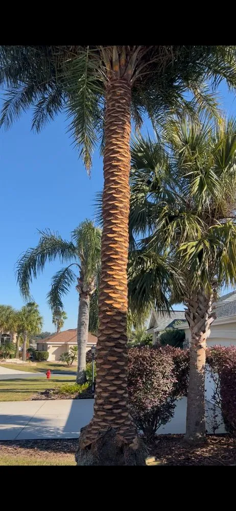 Expert outdoor landscaping for residential properties in Wildwood, FL by Eden Gardens Landscaping