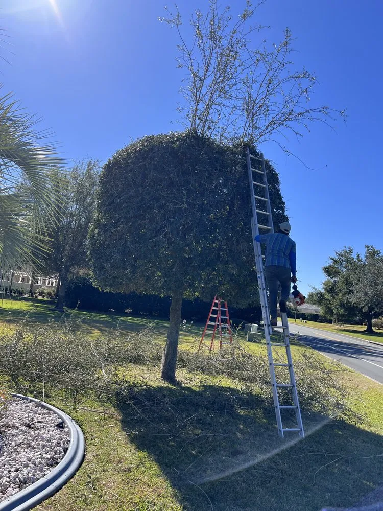 Expert garden landscaping for homes across Wildwood, FL - Eden Gardens Landscaping