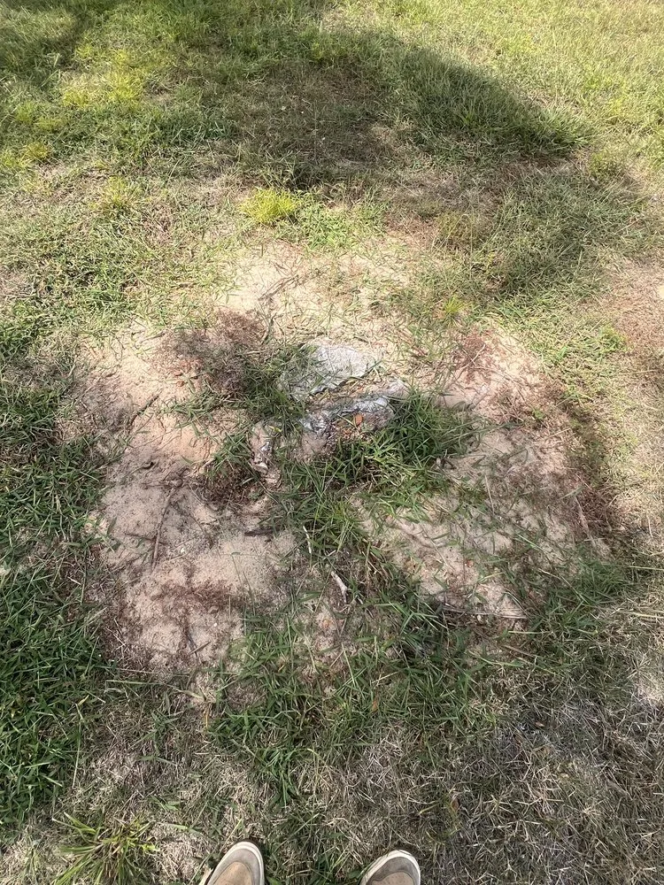 Affordable lawn mowing service for residential properties in Wildwood, FL by Eden Gardens Landscaping