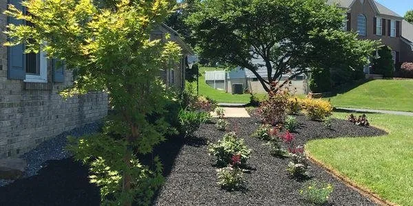 Professional yard maintenance experts serving Hockessin, DE - Eden Land Care