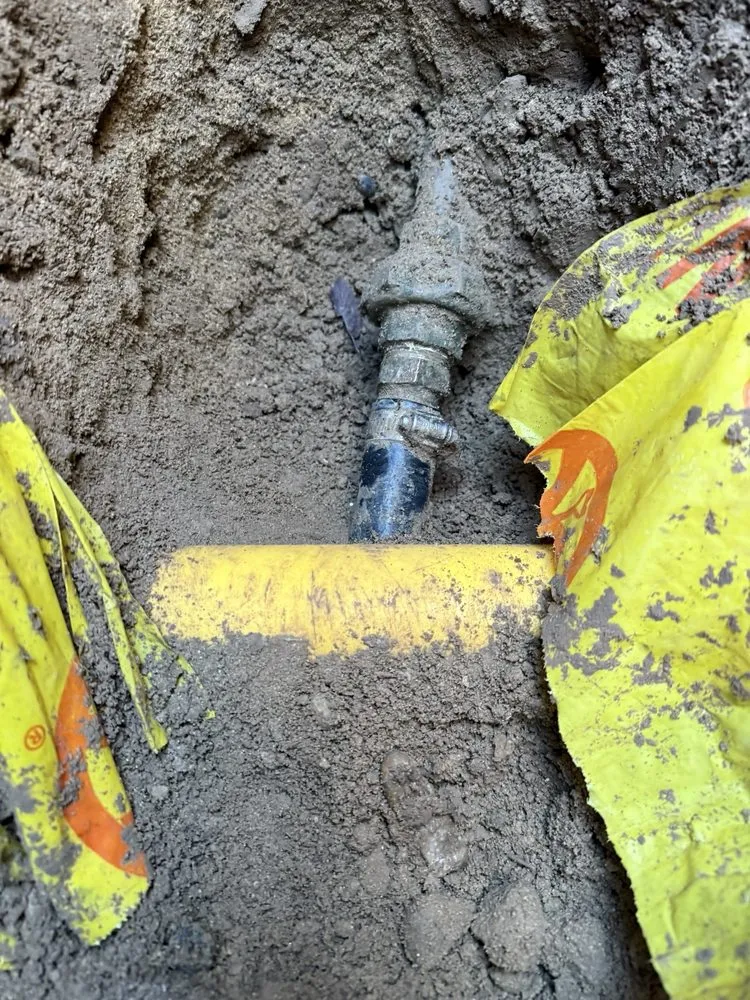 Professional yard cleanup service for year-round maintenance in Caldwell, ID by Eden Landscape Construction