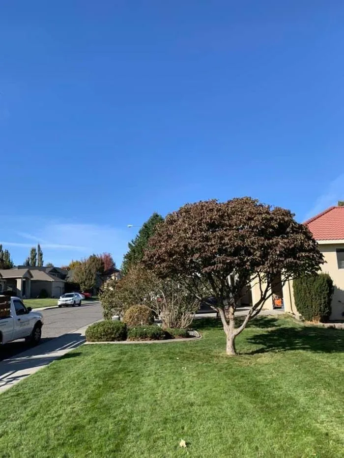 Trusted landscaping services for year-round maintenance across Kennewick, WA - Eden Landscaping & Tree Service