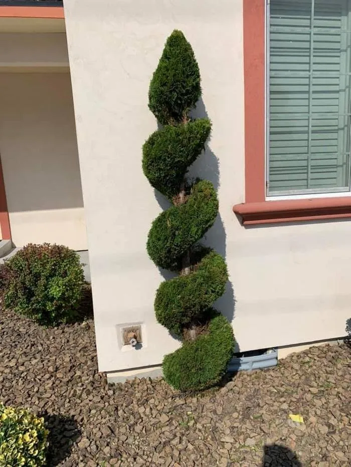 Expert landscaping services in Kennewick, WA - Eden Landscaping & Tree Service