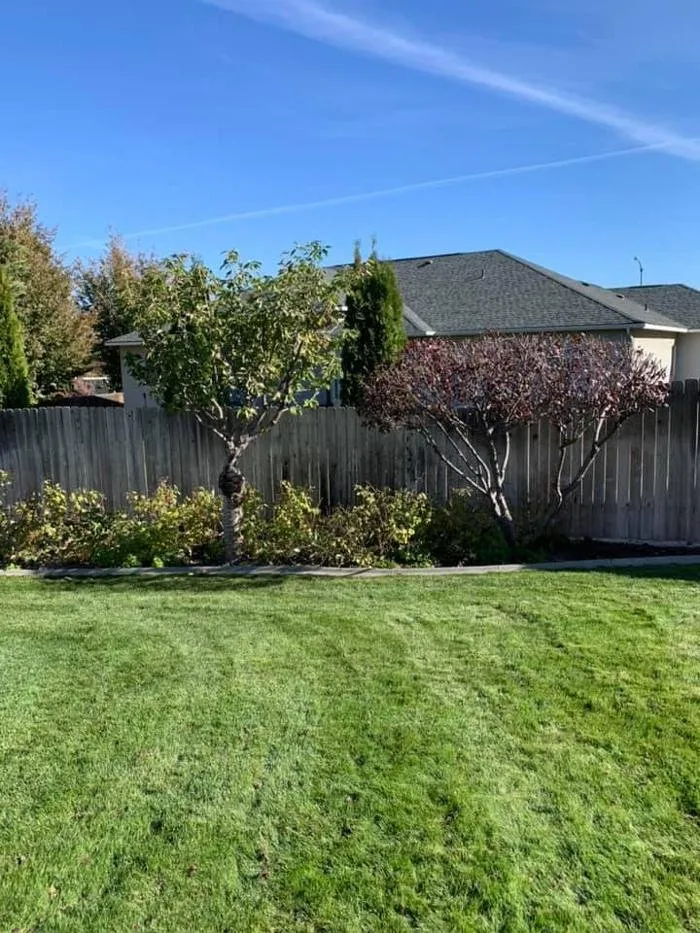 Trusted landscaping services experts serving Kennewick, WA - Eden Landscaping & Tree Service