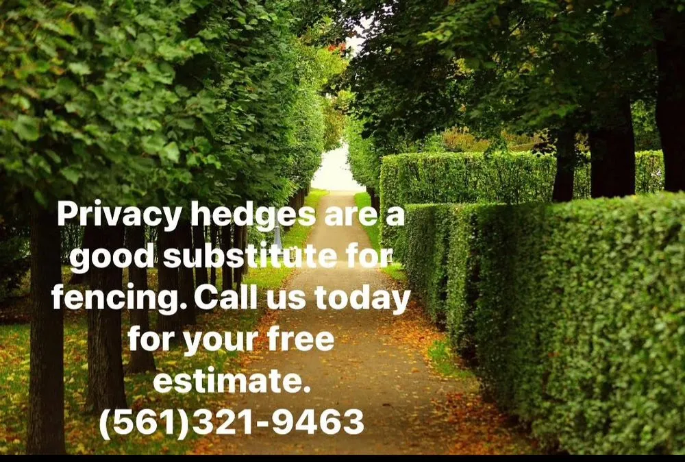 Professional landscaping services experts serving Jacksonville, FL - Eden Landscaping