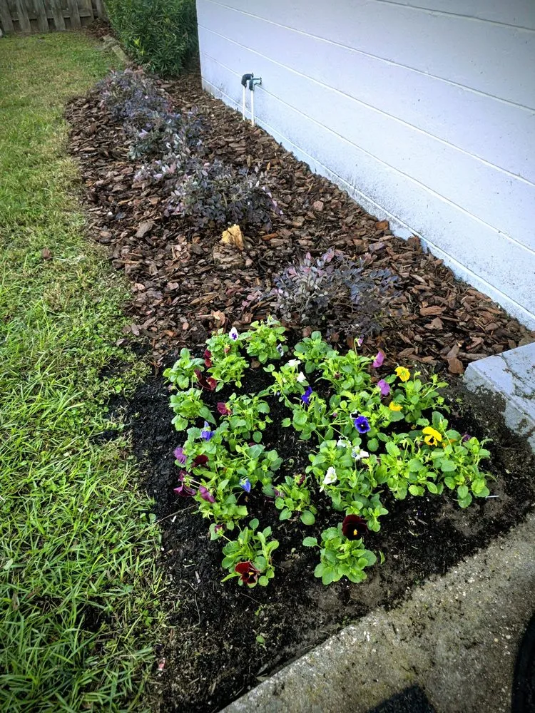 Professional yard maintenance for homes across Jacksonville, FL - Eden Landscaping