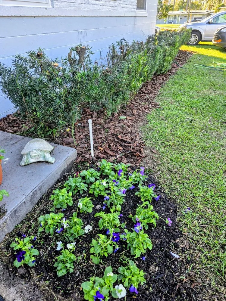 Professional lawn mowing service in Jacksonville, FL by Eden Landscaping