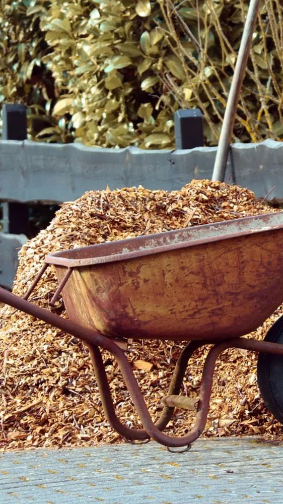 Affordable yard maintenance in Jacksonville, FL - Eden Landscaping