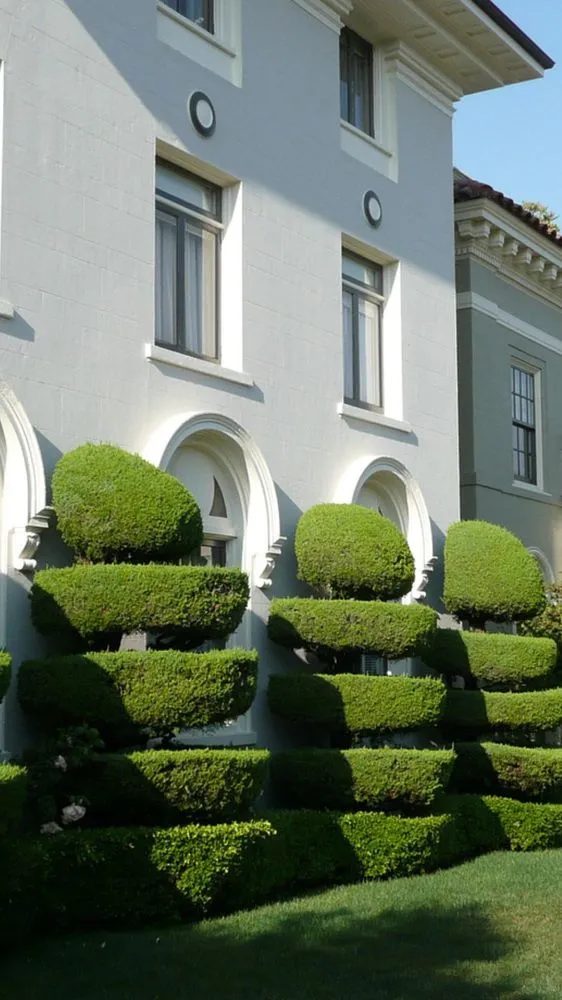 Affordable residential landscaping experts serving Jacksonville, FL - Eden Landscaping