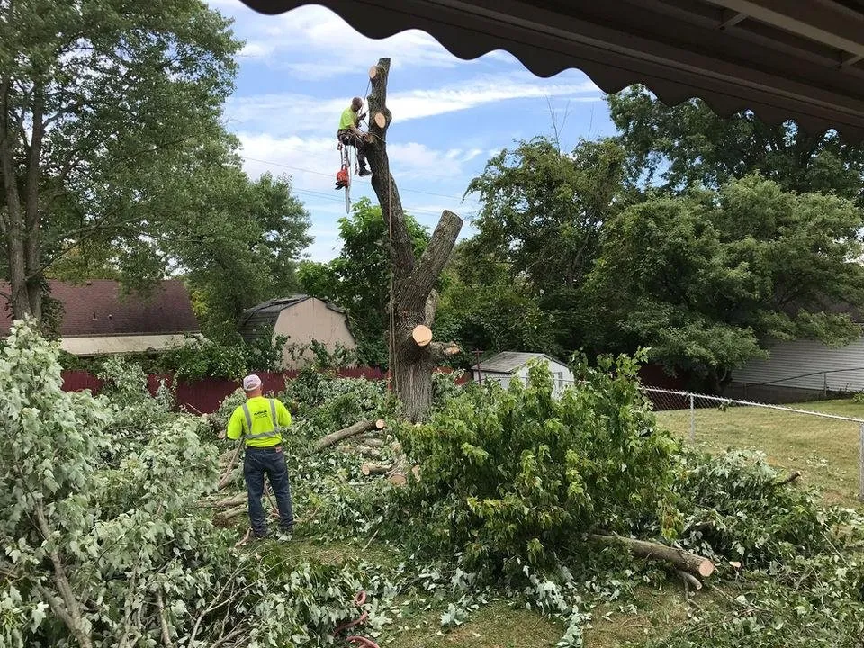 Expert residential landscaping for outdoor upgrades in Trenton, OH by Eden Landscaping Plus