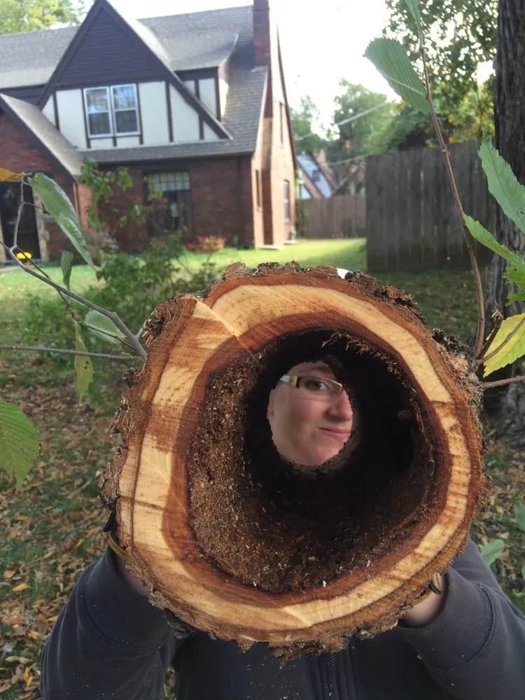 Top-rated outdoor landscaping experts serving Bel Aire, KS - Eden Lawn and Tree