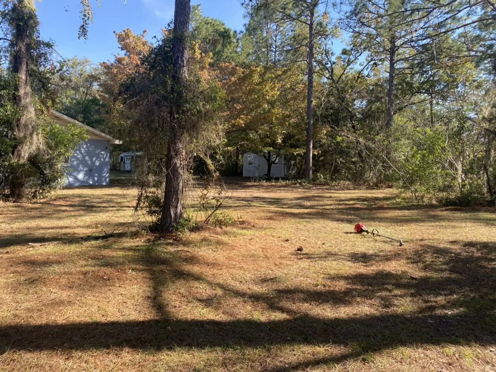 Top-rated lawn care service experts serving Williston, FL - Eden Lawn Care