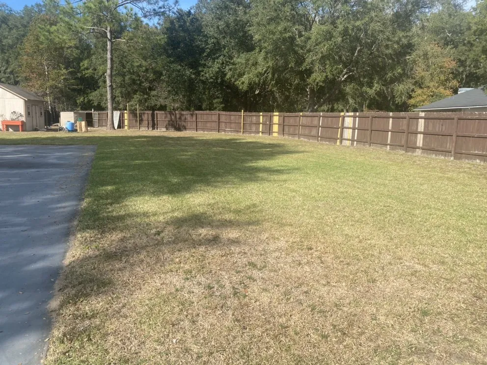 Trusted landscape design in Williston, FL - Eden Lawn Care