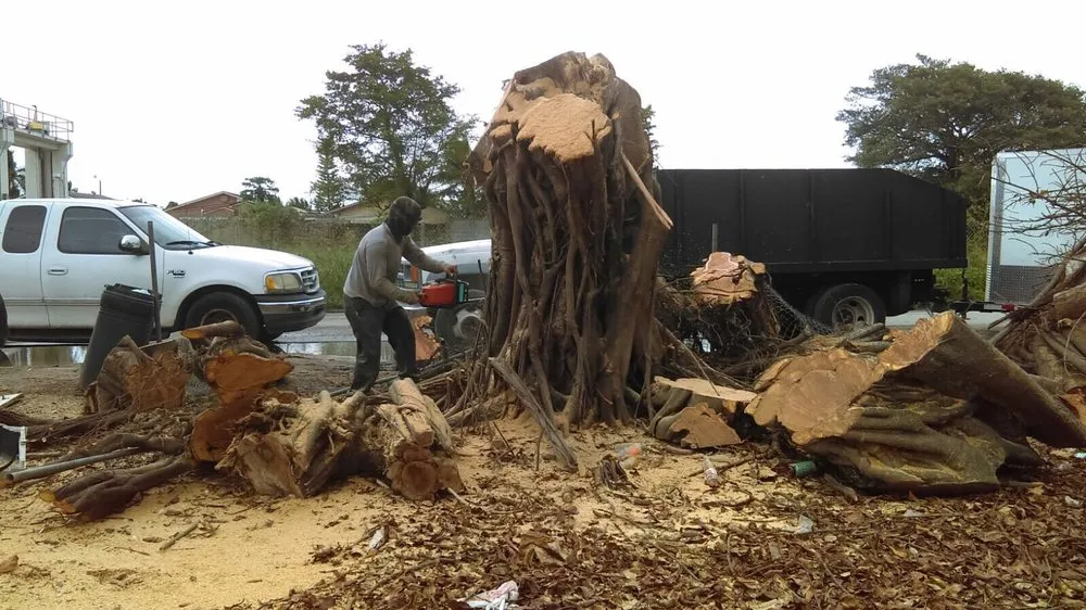 Trusted residential landscaping in Fort Lauderdale, FL - Eden Lawn Service & Landscaping