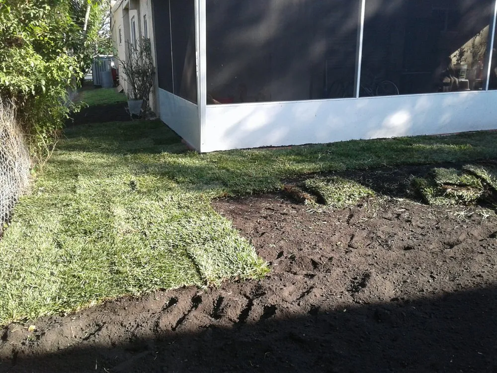 Professional yard cleanup service experts serving Fort Lauderdale, FL - Eden Lawn Service & Landscaping