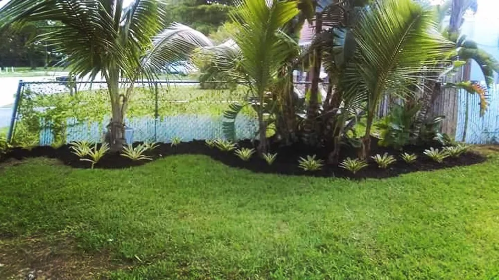 Top-rated garden landscaping in Fort Lauderdale, FL by Eden Lawn Service & Landscaping