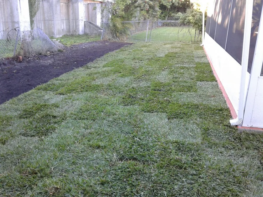 Top-rated landscape installation in Fort Lauderdale, FL by Eden Lawn Service & Landscaping