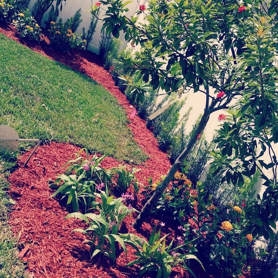 Reliable landscaping services experts serving Fort Lauderdale, FL - Eden Lawn Service & Landscaping