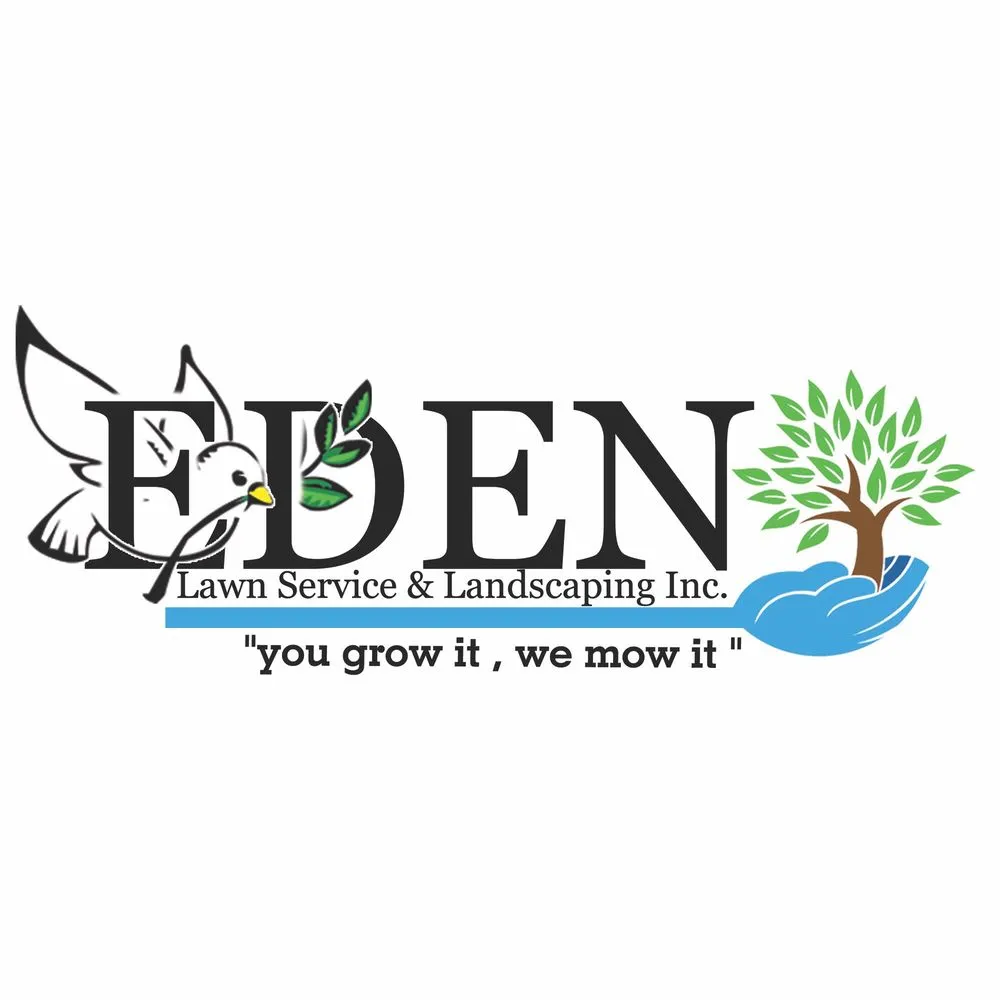 Custom yard cleanup service in Fort Lauderdale, FL - Eden Lawn Service & Landscaping