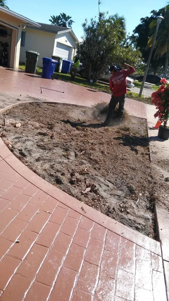 Reliable landscape installation for year-round maintenance across Fort Lauderdale, FL - Eden Lawn Service & Landscaping
