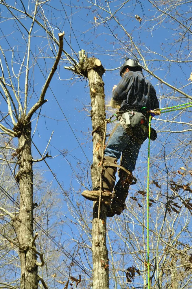 Reliable outdoor landscaping near you in Albemarle, NC by Eden Outdoor Works