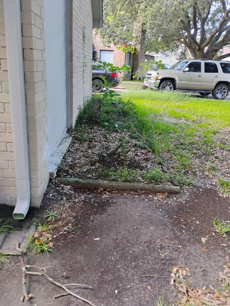 Expert landscape design for year-round maintenance in Houston, TX by Eden Paradise Landscape