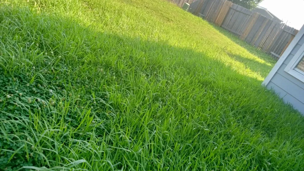 Reliable residential landscaping for residential properties across Houston, TX - Eden Paradise Landscape