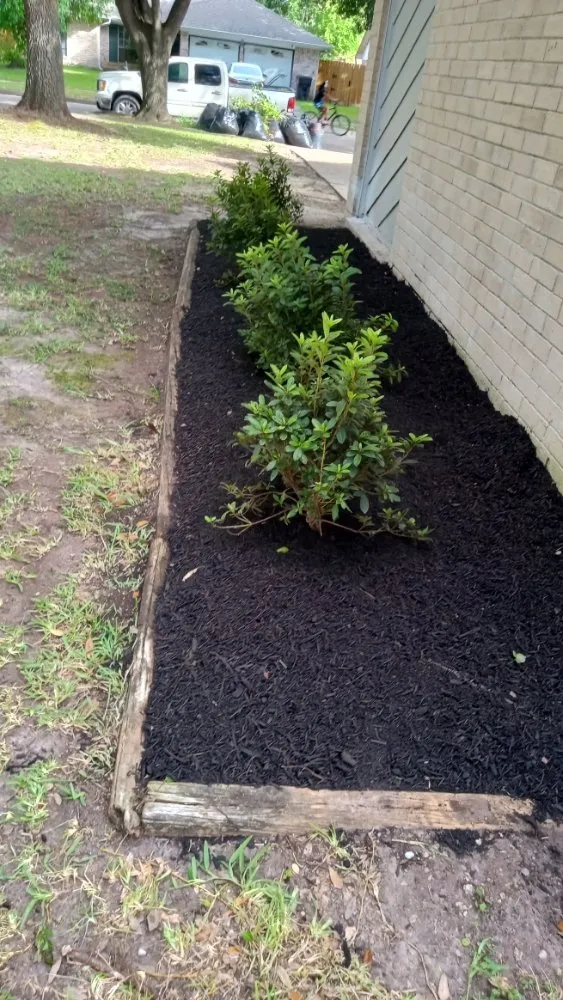 Trusted garden landscaping with custom design across Houston, TX - Eden Paradise Landscape