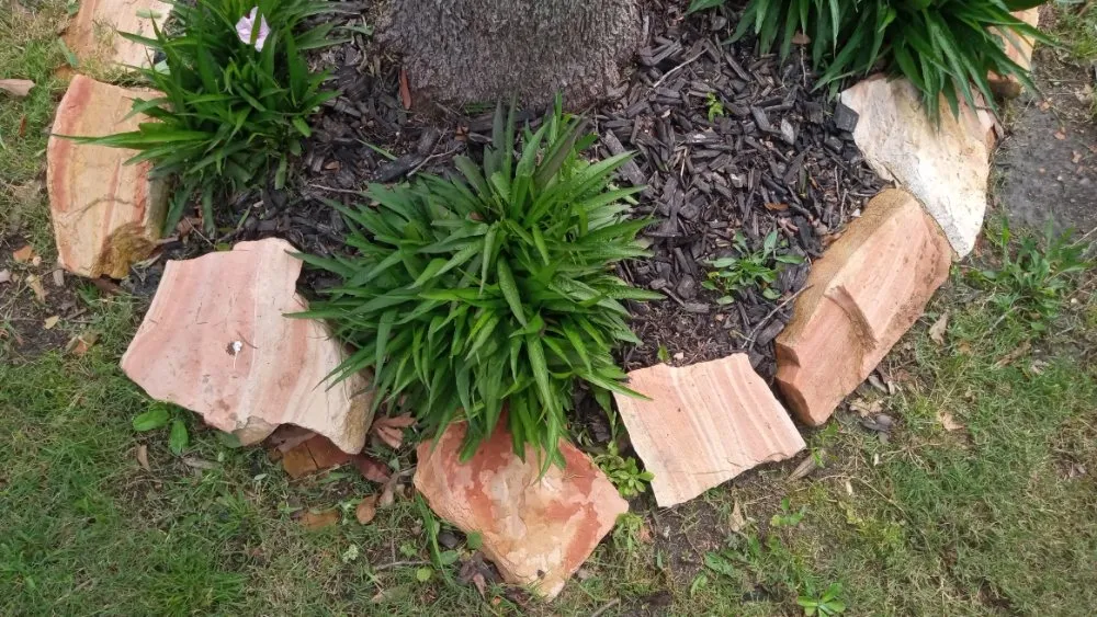 Expert landscape installation for outdoor upgrades across Houston, TX - Eden Paradise Landscape