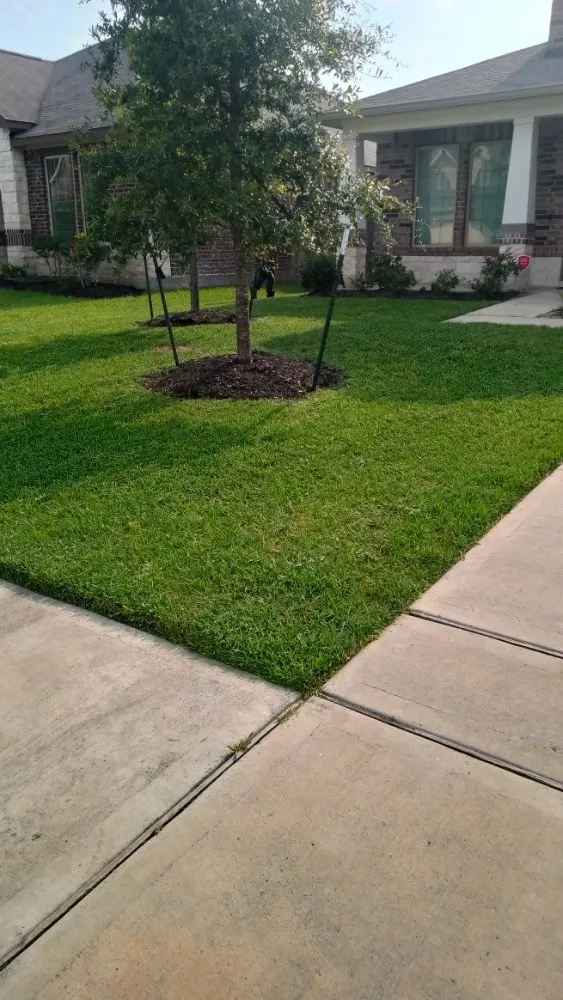 Trusted lawn care service experts serving Houston, TX - Eden Paradise Landscape