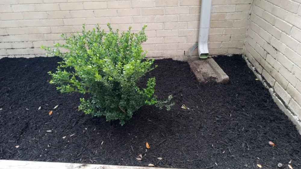 Expert outdoor landscaping for outdoor upgrades in Houston, TX by Eden Paradise Landscape