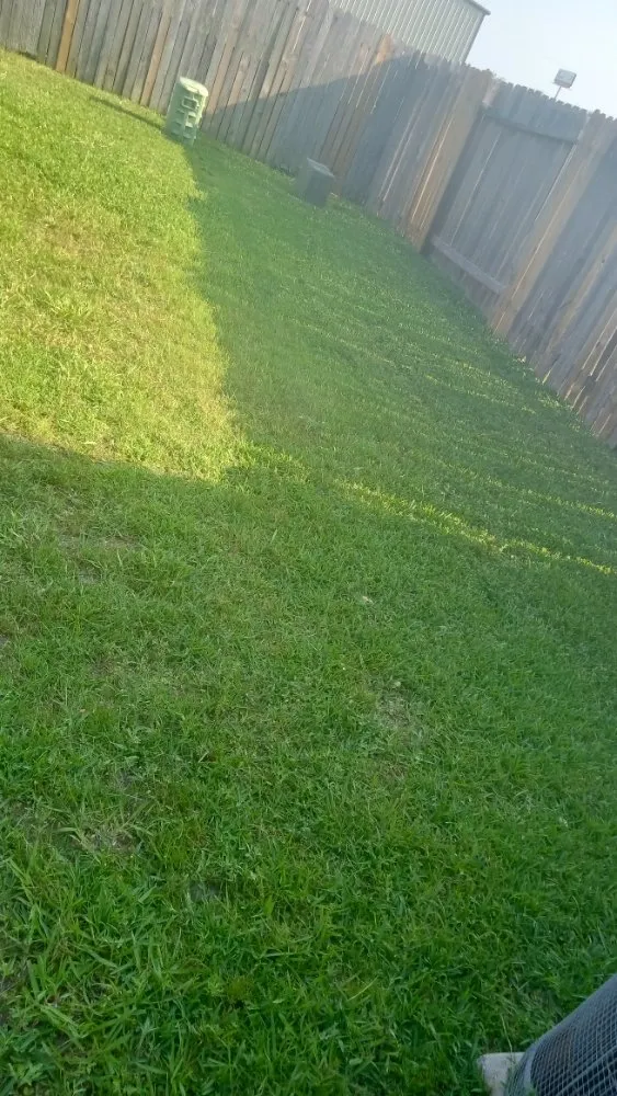 Affordable lawn care service for homes across Houston, TX - Eden Paradise Landscape