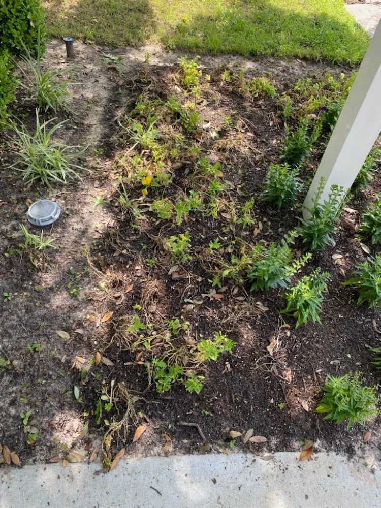 Top-rated residential landscaping in Houston, TX - Eden Paradise Landscape