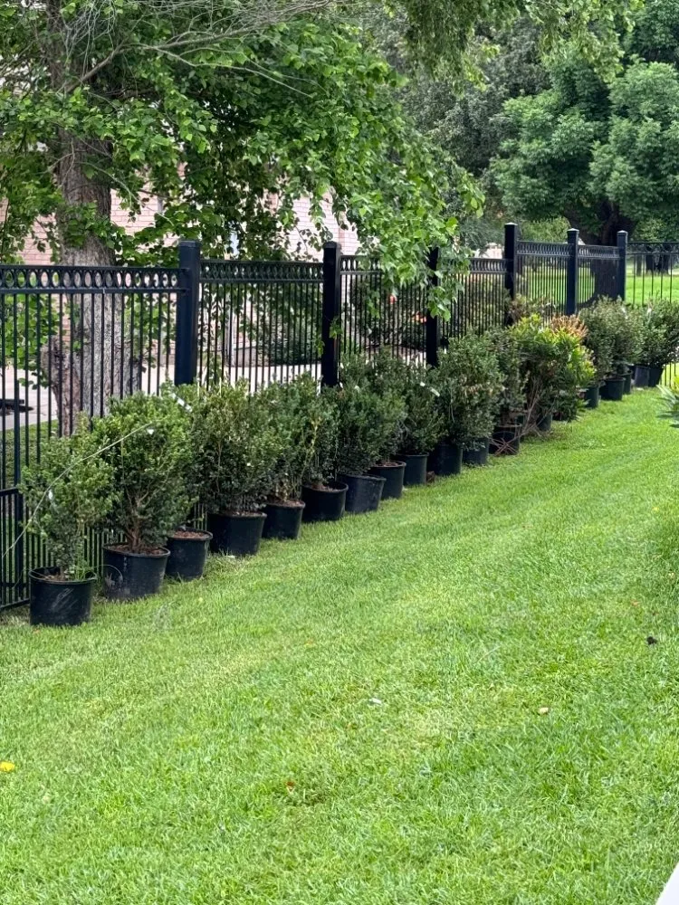 Expert landscaping services experts serving Houston, TX - Eden Paradise Landscape