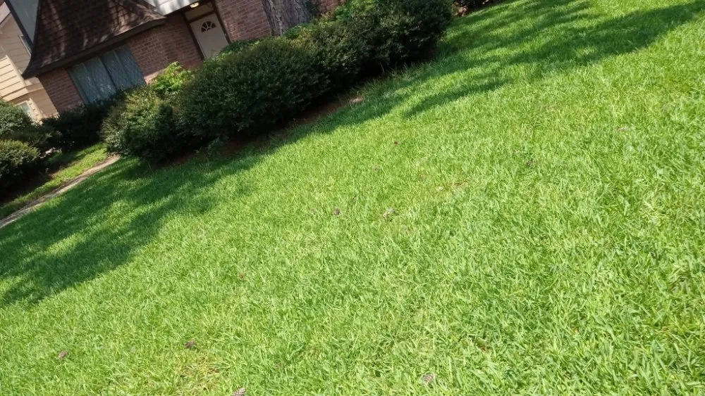 Top-rated landscaping services for residential properties across Houston, TX - Eden Paradise Landscape